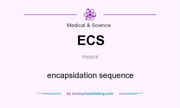 What does ECS mean? It stands for encapsidation sequence