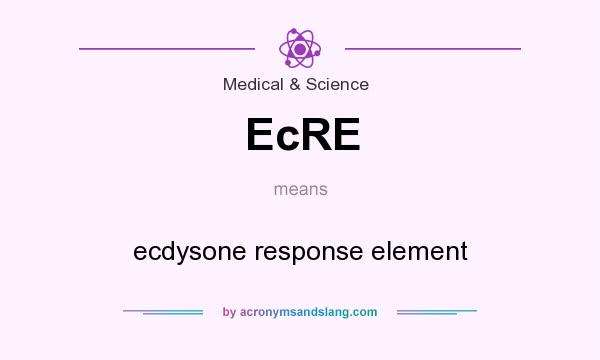 What does EcRE mean? It stands for ecdysone response element