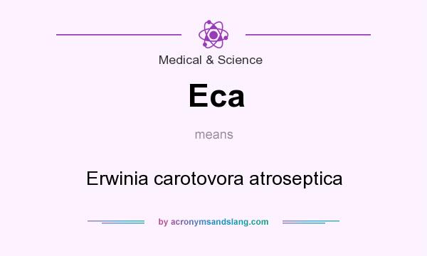 What does Eca mean? It stands for Erwinia carotovora atroseptica