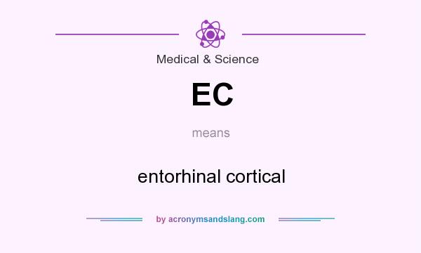 What does EC mean? It stands for entorhinal cortical