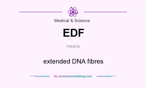 What does EDF mean? It stands for extended DNA fibres