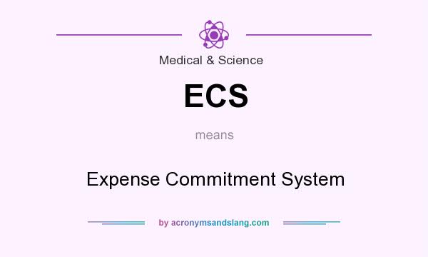 What does ECS mean? It stands for Expense Commitment System