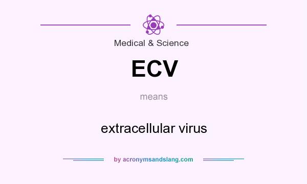 What does ECV mean? It stands for extracellular virus