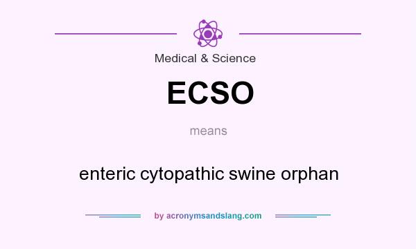 What does ECSO mean? It stands for enteric cytopathic swine orphan