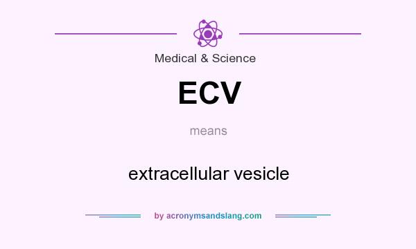 What does ECV mean? It stands for extracellular vesicle