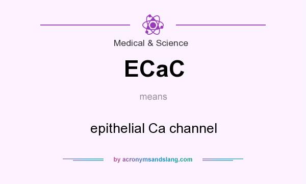 What does ECaC mean? It stands for epithelial Ca channel