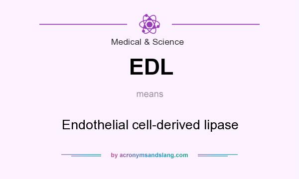 What does EDL mean? It stands for Endothelial cell-derived lipase