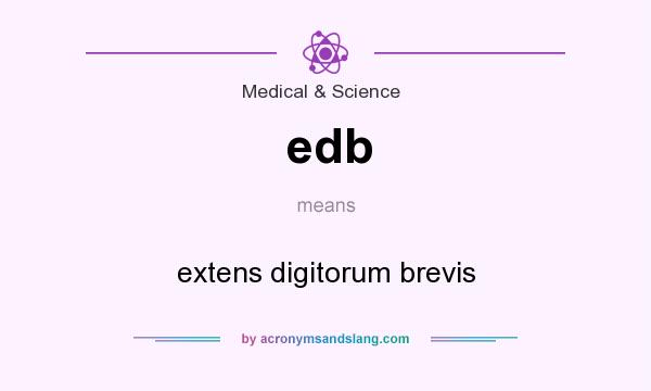 What does edb mean? It stands for extens digitorum brevis