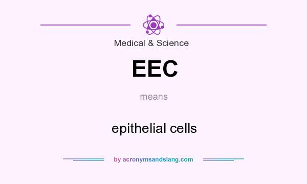 What does EEC mean? It stands for epithelial cells
