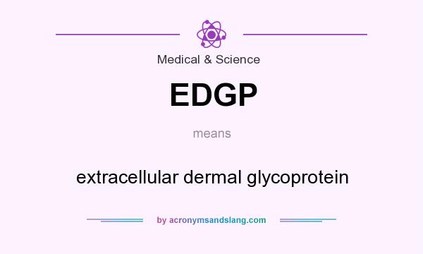 What does EDGP mean? It stands for extracellular dermal glycoprotein