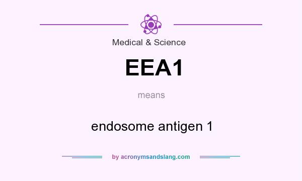 What does EEA1 mean? It stands for endosome antigen 1