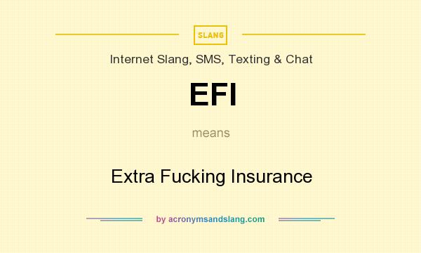 What does EFI mean? It stands for Extra Fucking Insurance