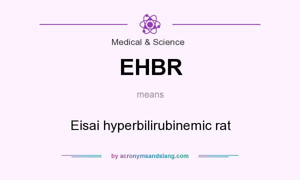 What does EHBR mean? It stands for Eisai hyperbilirubinemic rat