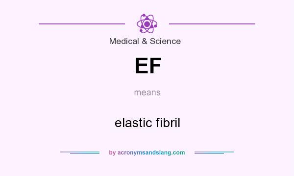 What does EF mean? It stands for elastic fibril