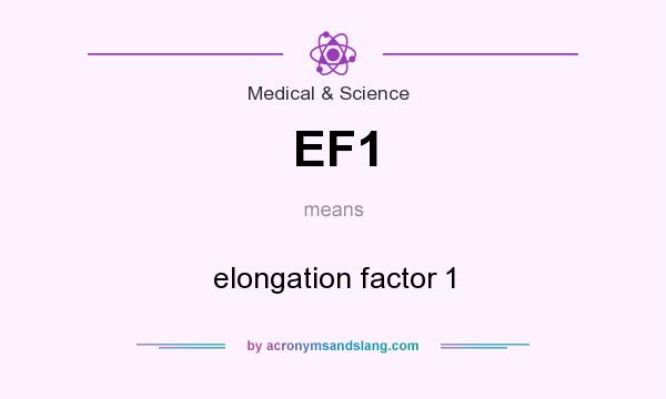 What does EF1 mean? It stands for elongation factor 1