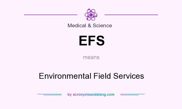What does EFS mean? It stands for Environmental Field Services