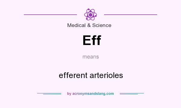 What does Eff mean? It stands for efferent arterioles