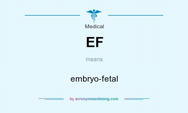 What does EF mean? It stands for embryo-fetal
