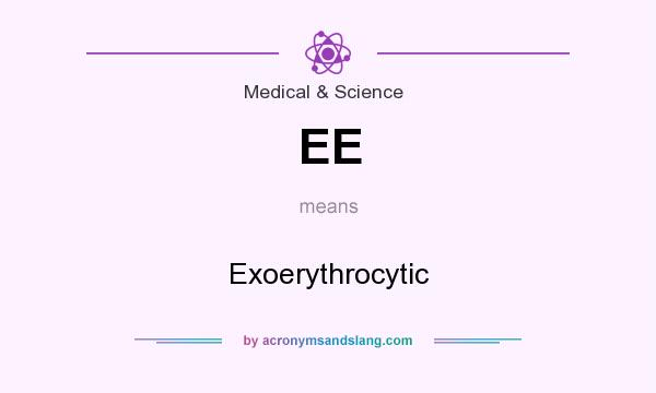 What does EE mean? It stands for Exoerythrocytic