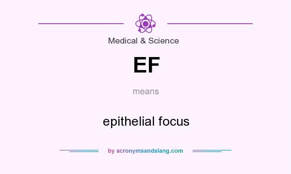 What does EF mean? It stands for epithelial focus