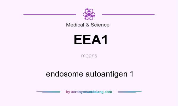 What does EEA1 mean? It stands for endosome autoantigen 1