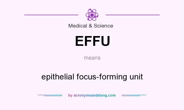 What does EFFU mean? It stands for epithelial focus-forming unit