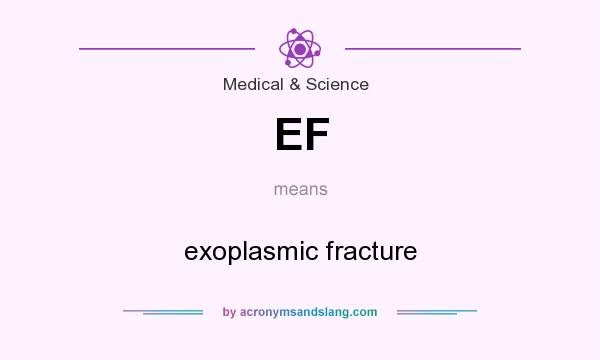 What does EF mean? It stands for exoplasmic fracture