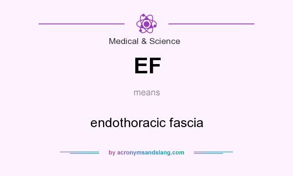 What does EF mean? It stands for endothoracic fascia