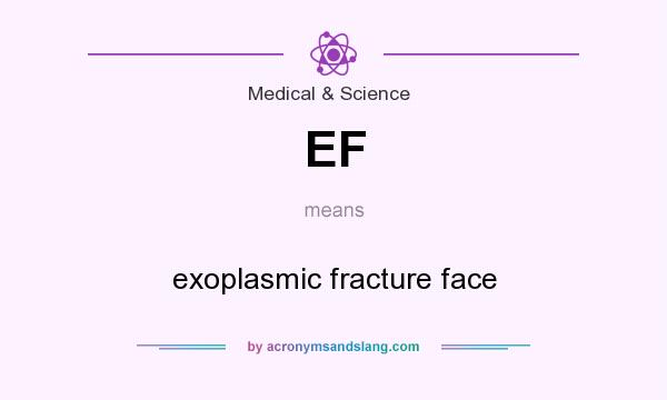 What does EF mean? It stands for exoplasmic fracture face