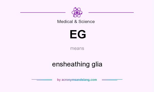 What does EG mean? It stands for ensheathing glia