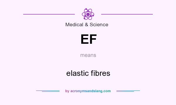 What does EF mean? It stands for elastic fibres