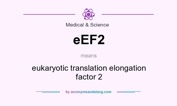 What does eEF2 mean? It stands for eukaryotic translation elongation factor 2