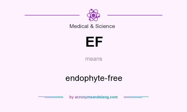 What does EF mean? It stands for endophyte-free