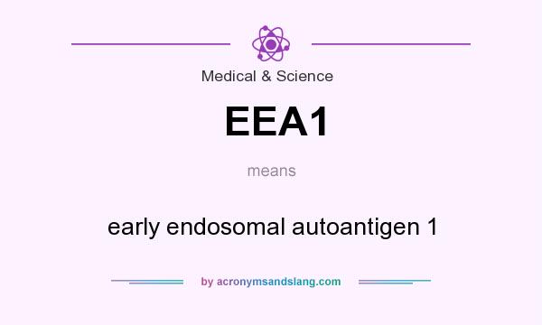 What does EEA1 mean? It stands for early endosomal autoantigen 1