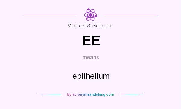 What does EE mean? It stands for epithelium