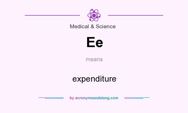What does Ee mean? It stands for expenditure