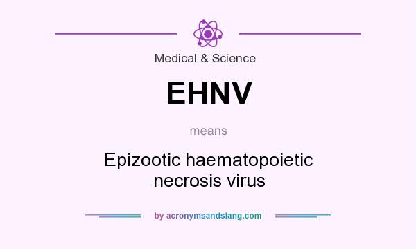 What does EHNV mean? It stands for Epizootic haematopoietic necrosis virus