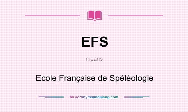What does EFS mean? It stands for Ecole Française de Spéléologie