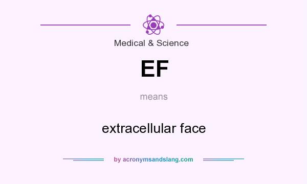 What does EF mean? It stands for extracellular face