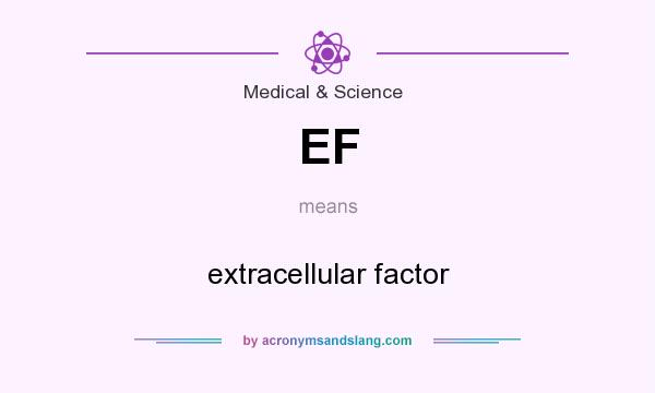 What does EF mean? It stands for extracellular factor