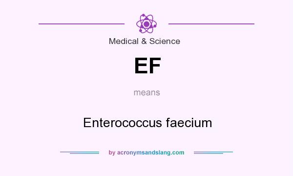 What does EF mean? It stands for Enterococcus faecium