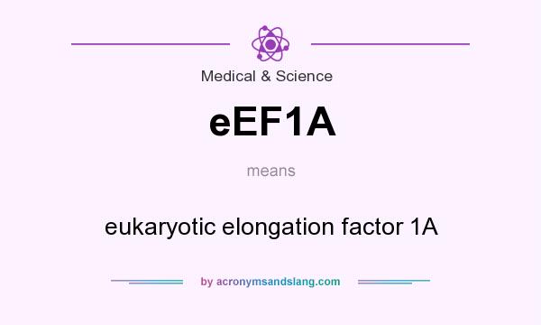 What does eEF1A mean? It stands for eukaryotic elongation factor 1A