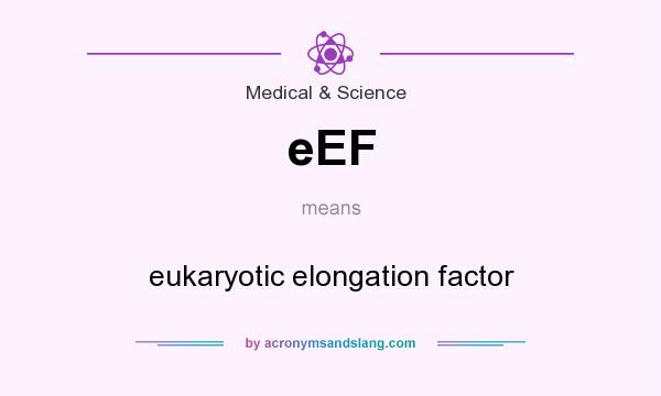 What does eEF mean? It stands for eukaryotic elongation factor