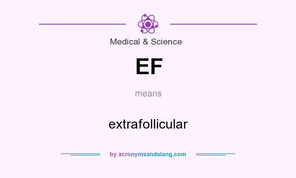 What does EF mean? It stands for extrafollicular