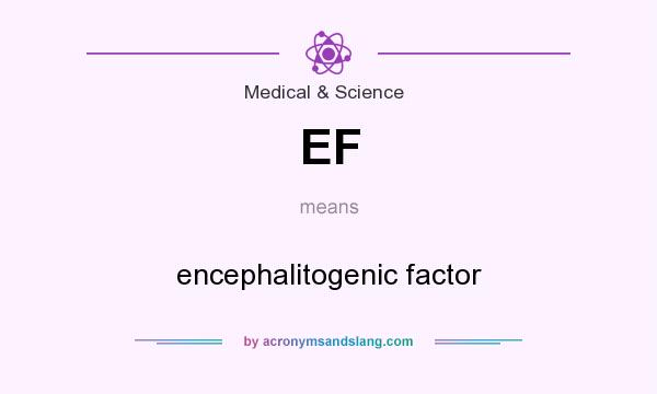 What does EF mean? It stands for encephalitogenic factor