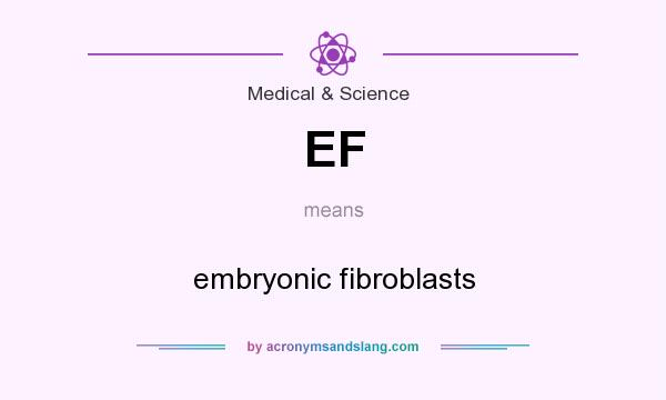 What does EF mean? It stands for embryonic fibroblasts