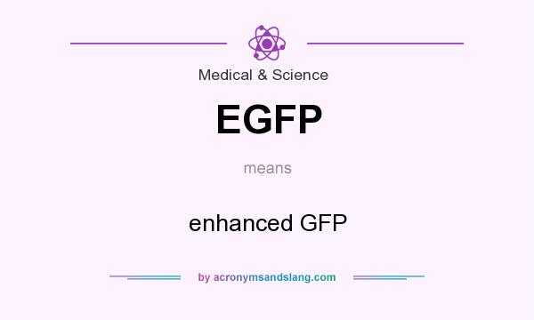 What does EGFP mean? It stands for enhanced GFP