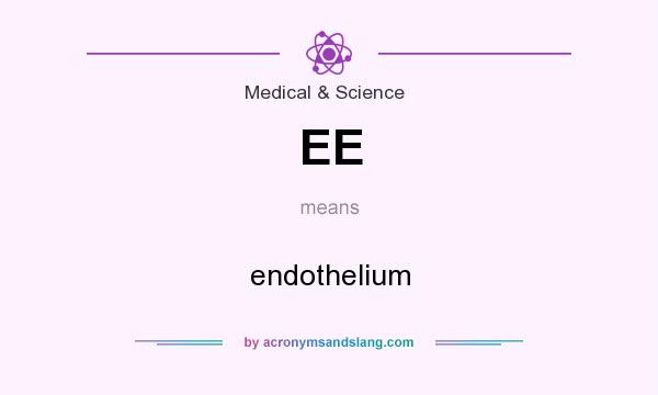 What does EE mean? It stands for endothelium