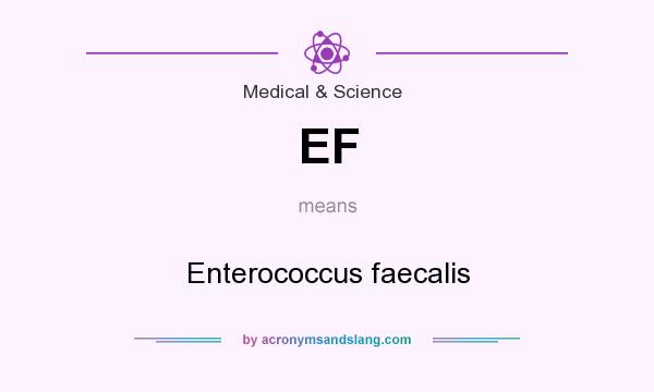What does EF mean? It stands for Enterococcus faecalis