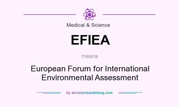 What does EFIEA mean? It stands for European Forum for International Environmental Assessment